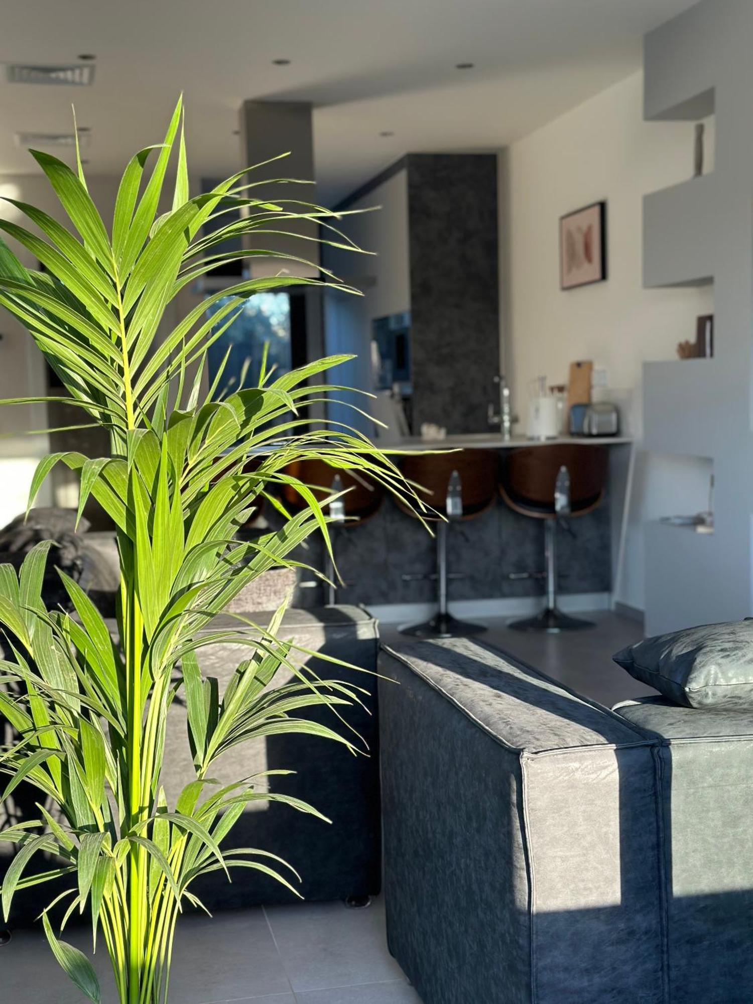 Ferienhaus Shome